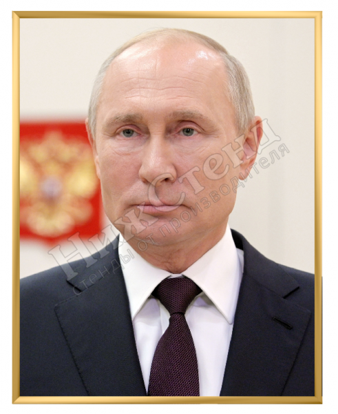 Портрет Президента В.В. Путина