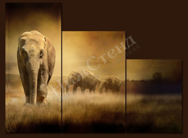 Модульная картина "Слон"