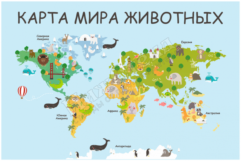 Стенд "Карта мира животных"